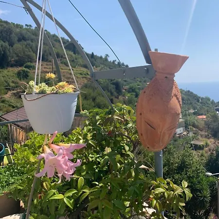 D'arte Appartement *