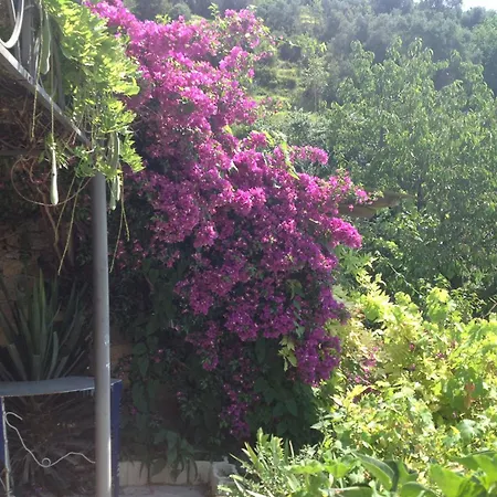 D'arte Appartement *