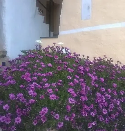 D'arte Mortola Superiore