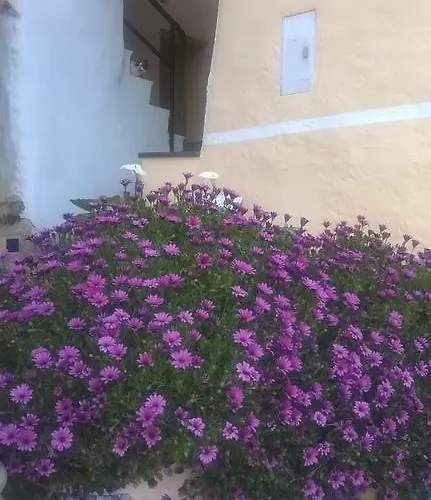 D'arte Mortola Superiore