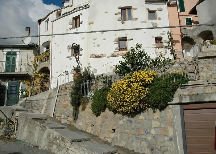D'arte